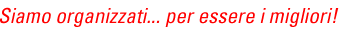 Siamo organizzati... per essere i migliori!